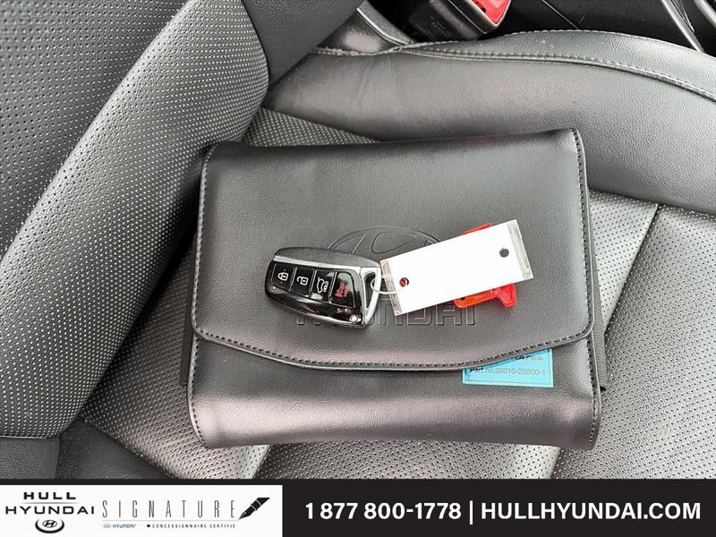 hyundai Santa Fe XL 2017 - 17