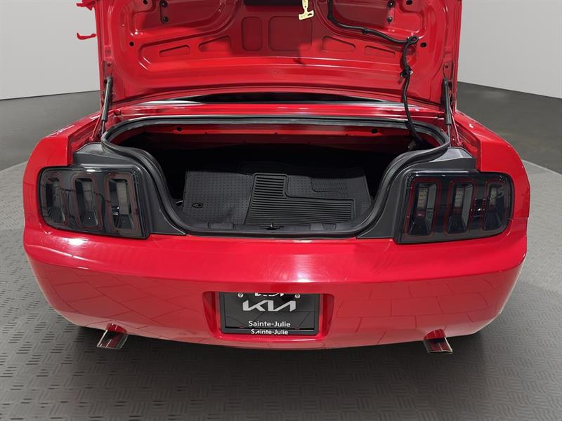 ford Mustang 2007 - 19