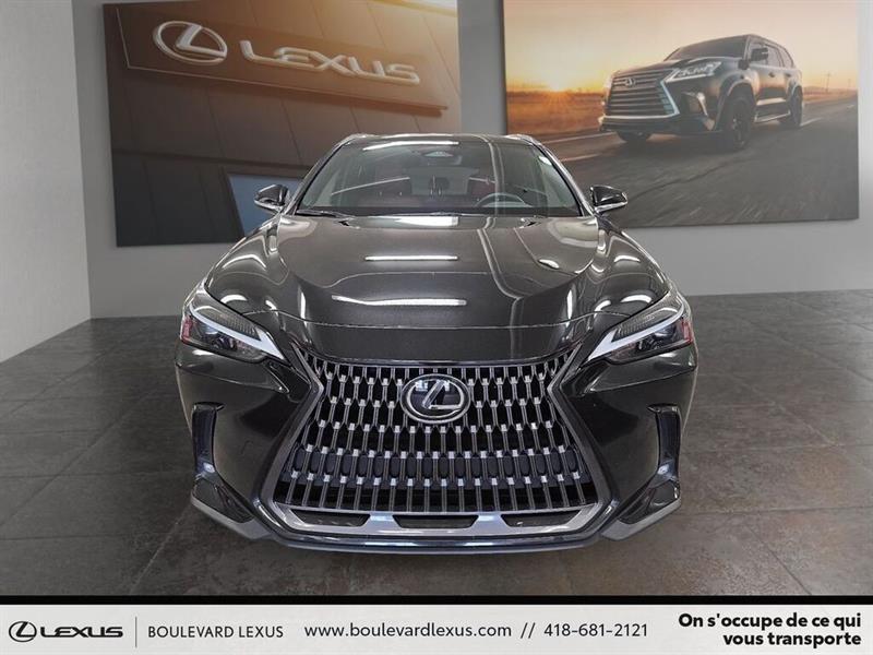 lexus NX 2024 - 2