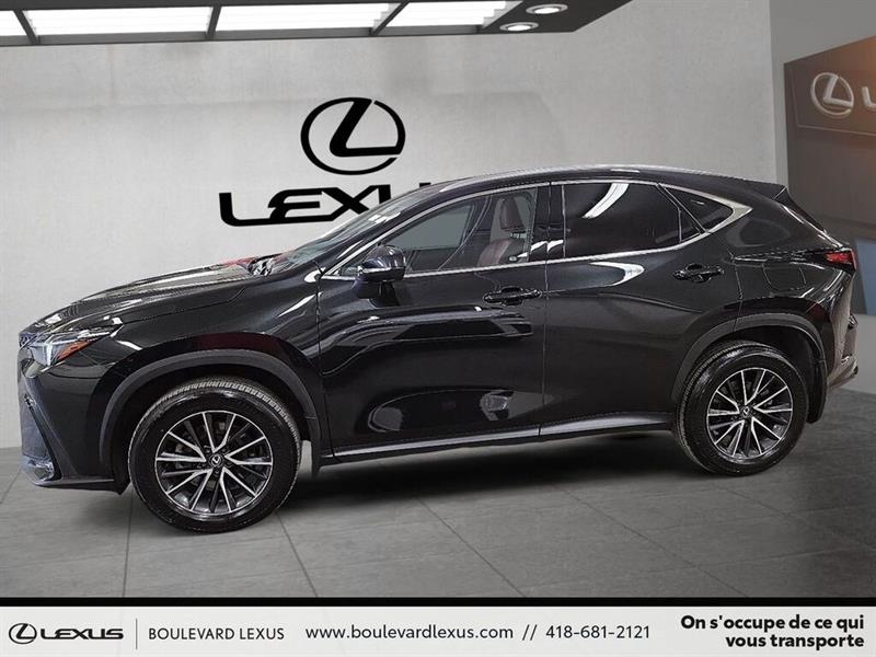 lexus NX 2024 - 6