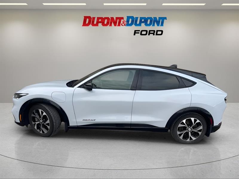 ford Mustang Mach-E 2021 - 2