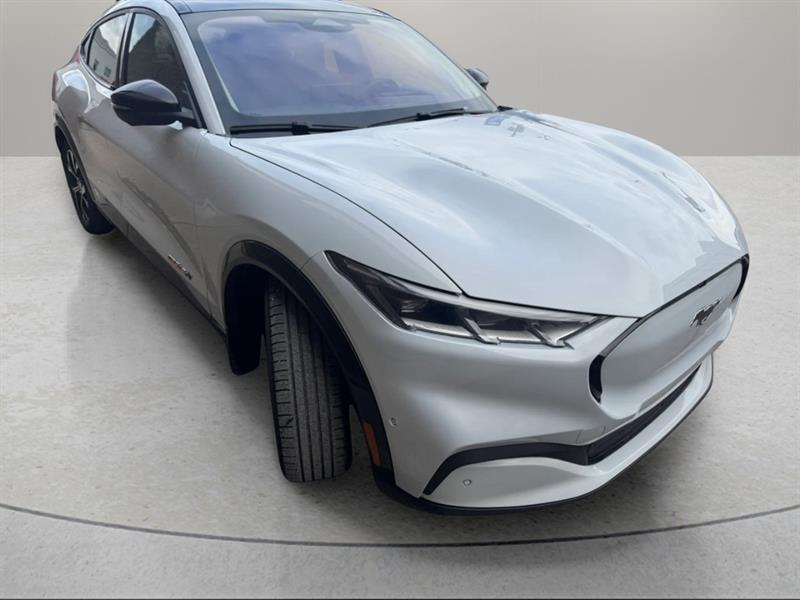 ford Mustang Mach-E 2021 - 6