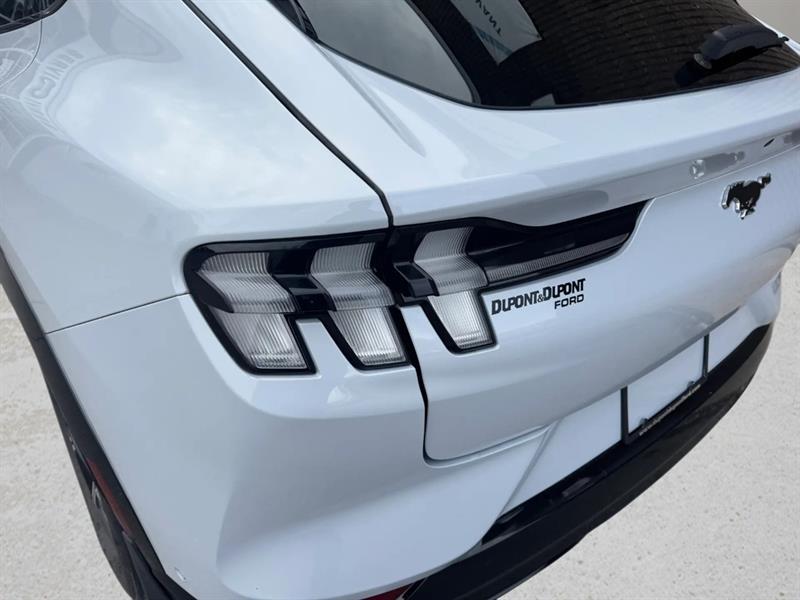 ford Mustang Mach-E 2021 - 10