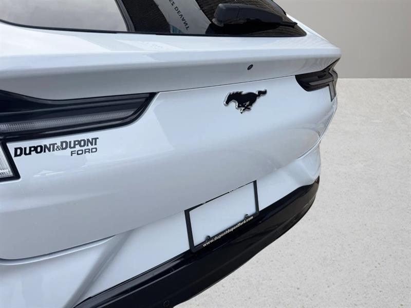 ford Mustang Mach-E 2021 - 11