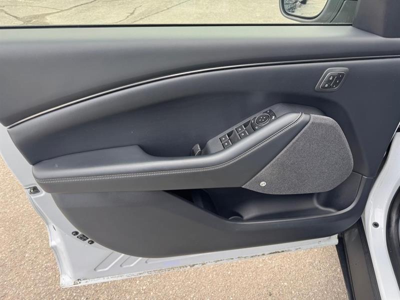 ford Mustang Mach-E 2021 - 14