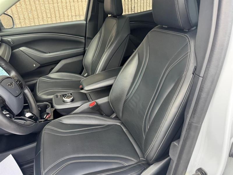 ford Mustang Mach-E 2021 - 15