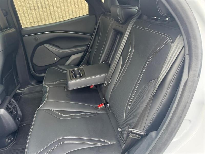 ford Mustang Mach-E 2021 - 17