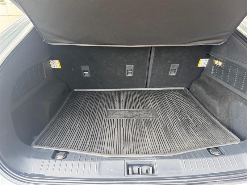 ford Mustang Mach-E 2021 - 18