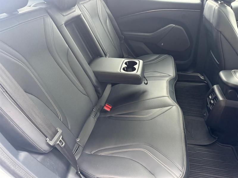 ford Mustang Mach-E 2021 - 20