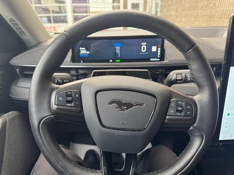 ford Mustang Mach-E 2021 - 25