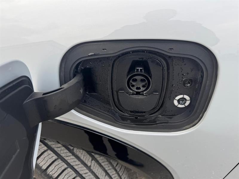 ford Mustang Mach-E 2021 - 29