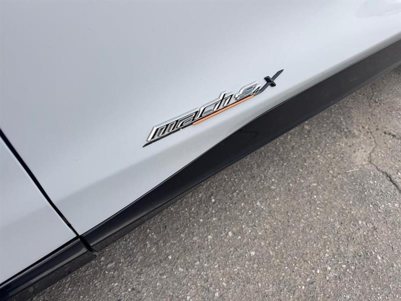 ford Mustang Mach-E 2021 - 30