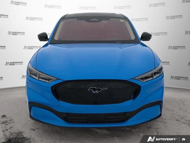ford Mustang Mach-E 2023 - 8