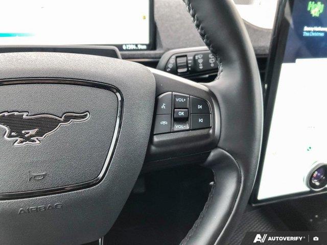 ford Mustang Mach-E 2023 - 15