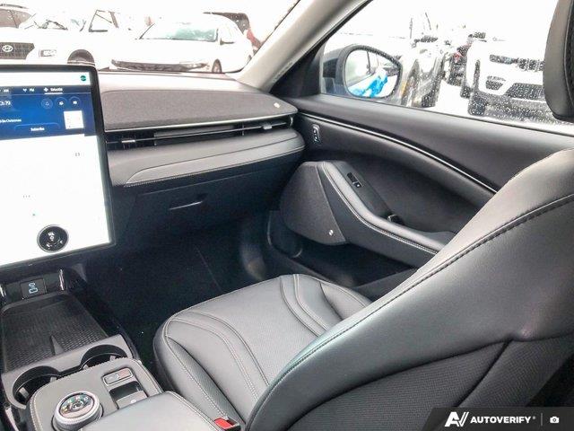 ford Mustang Mach-E 2023 - 24