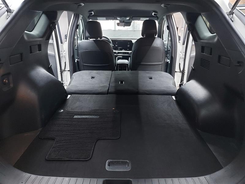 kia Sportage 2024 - 12