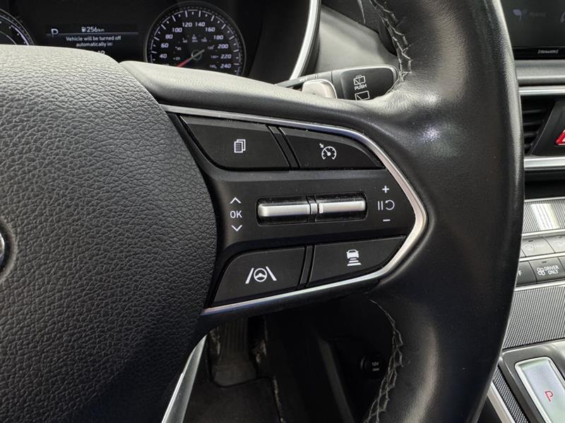 hyundai Santa Fe hybride 2021 - 25