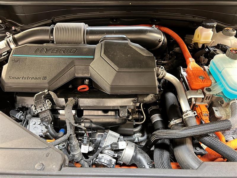 kia Sportage 2025 - 12