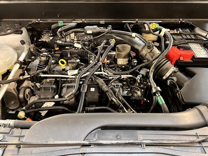 ford Maverick 2022 - 11