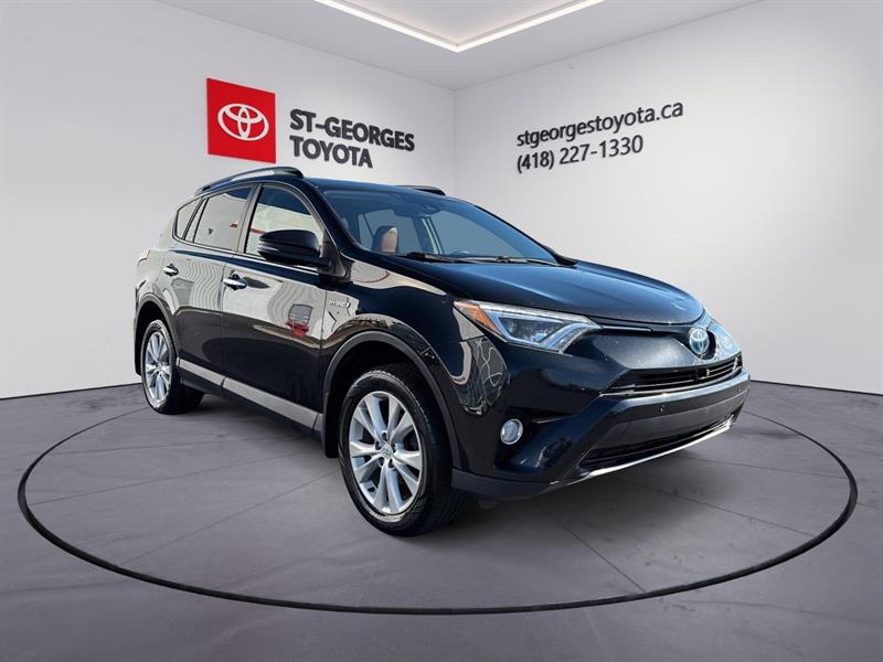 toyota RAV4 hybride 2017 - 10