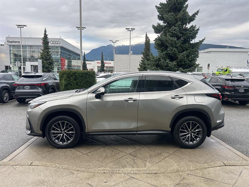 lexus NX 2023 - 2