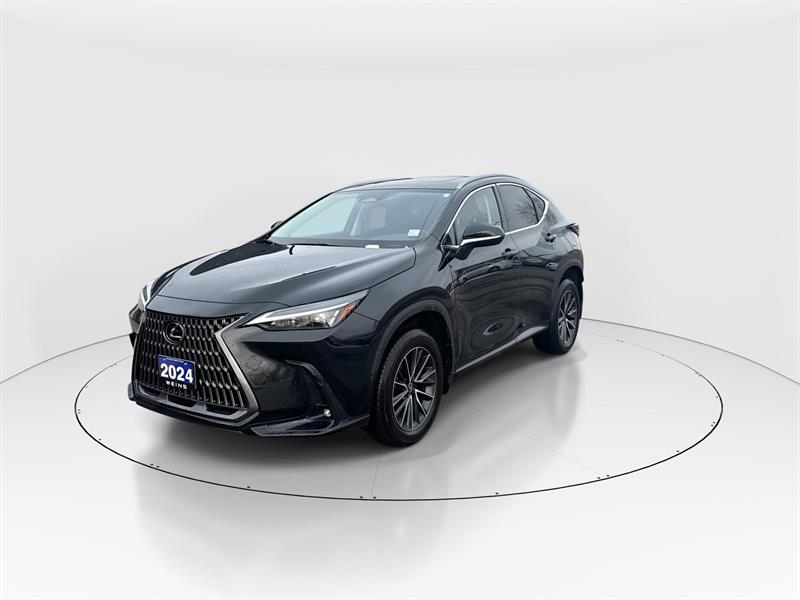 lexus NX 350 2024 - 5