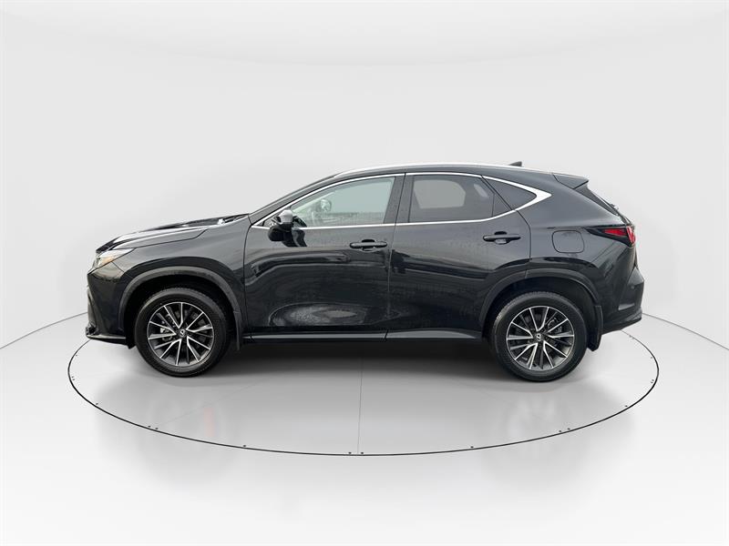 lexus NX 350 2024 - 6