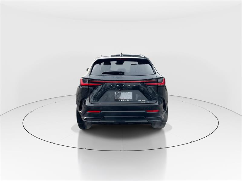 lexus NX 350 2024 - 8
