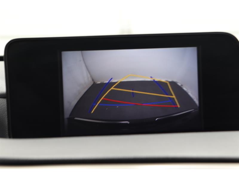 lexus RX 350 2017 - 23