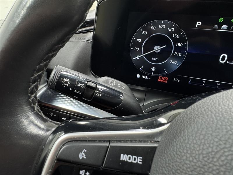 kia Carnival 2022 - 22