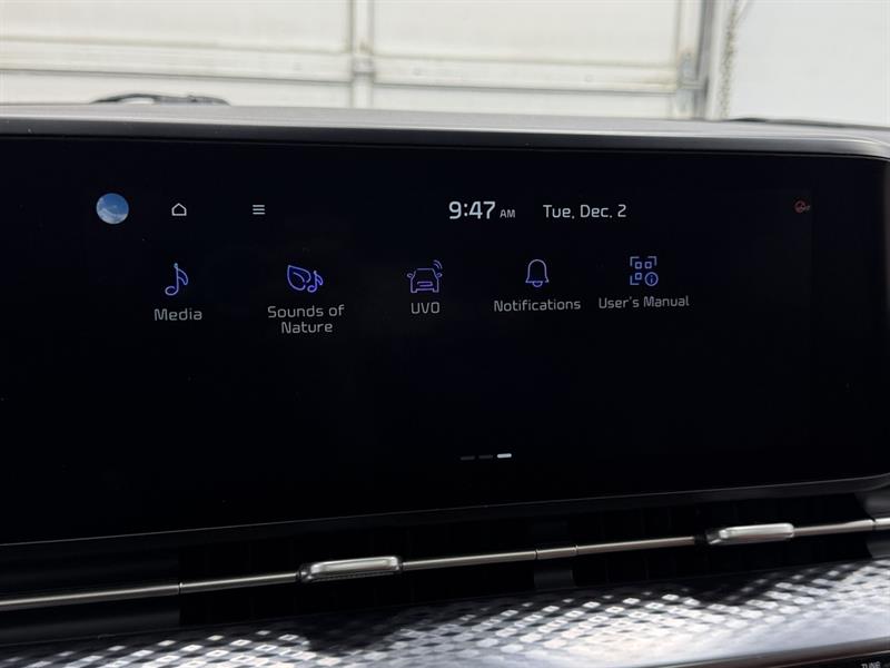 kia Carnival 2022 - 29