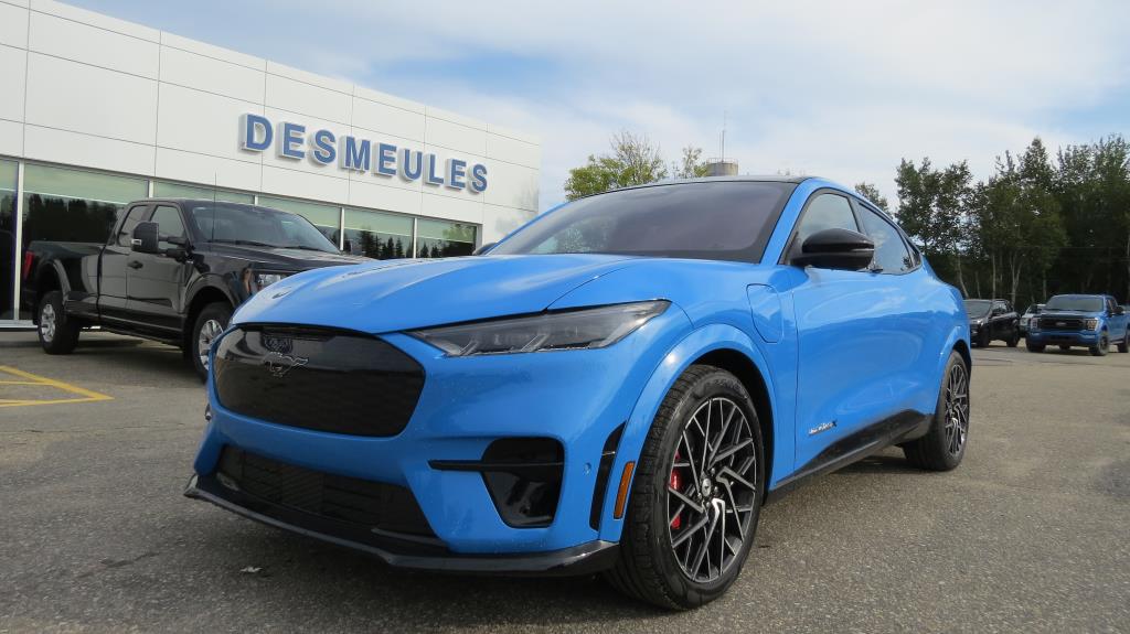 2022 Ford Mustang Mach-e