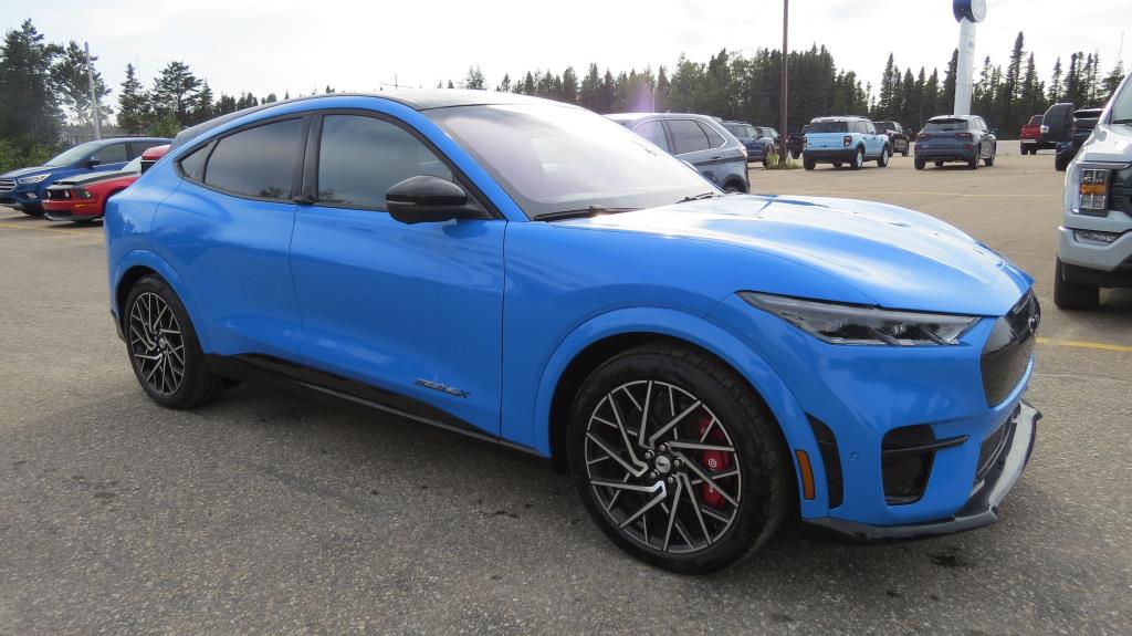 ford Mustang Mach-E 2022 - 4