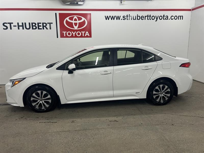 toyota Corolla 2023 - 2