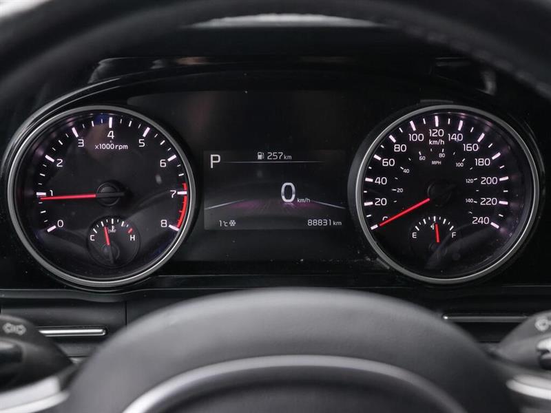 kia Carnival 2024 - 30