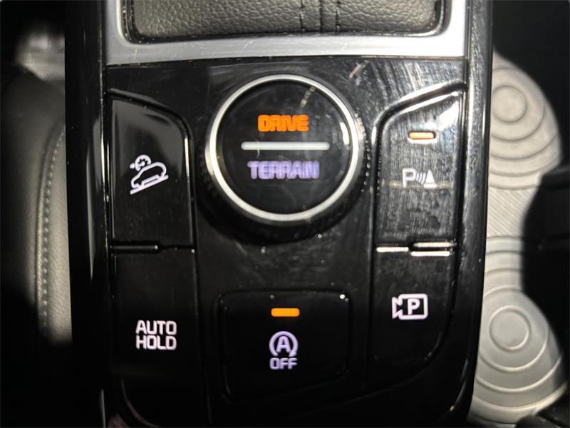 kia Sportage 2023 - 24