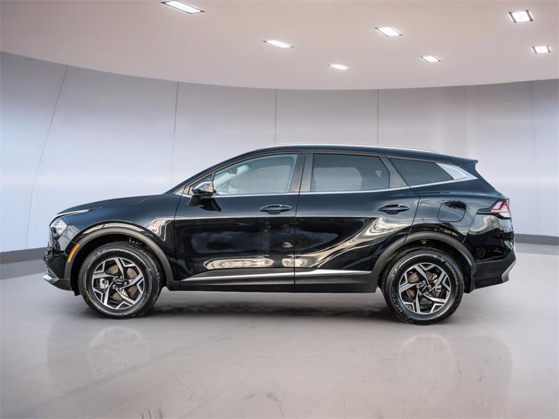 kia Sportage 2024 - 6