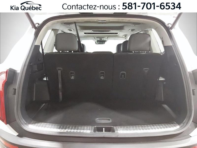 kia Telluride 2021 - 31