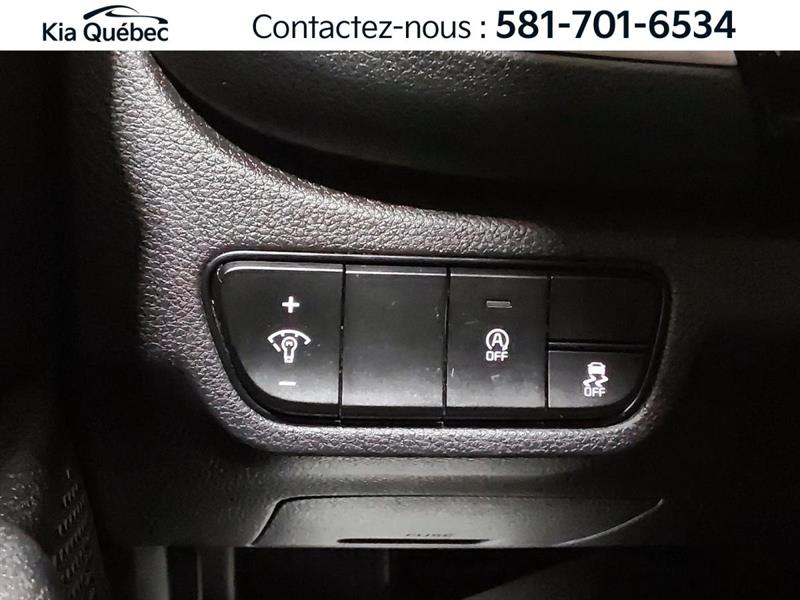 kia Seltos 2024 - 17