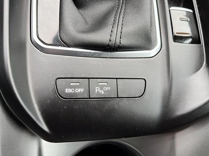 dodge Hornet 2024 - 23