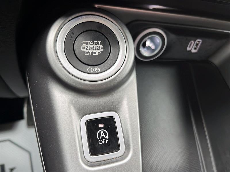 dodge Hornet 2024 - 24