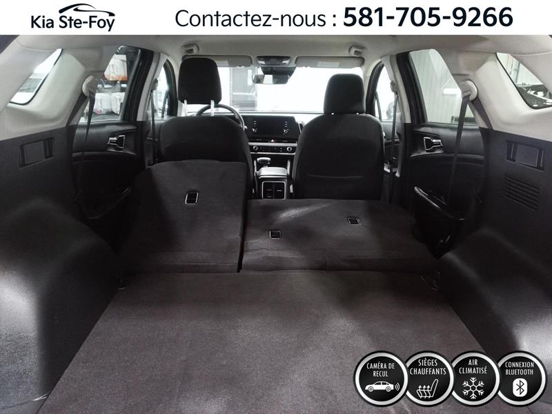 kia Sportage 2024 - 24