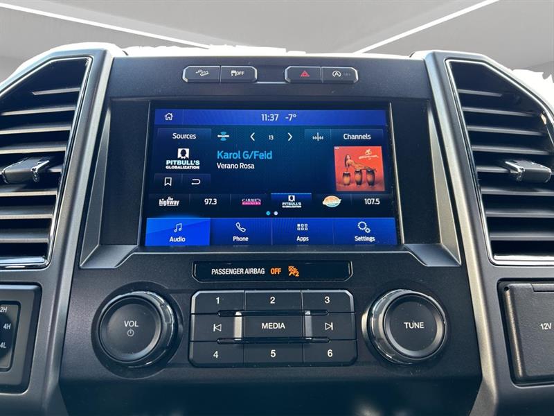 ford F-150 2019 - 14