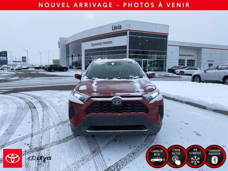 toyota RAV4 hybride 2020 - 2