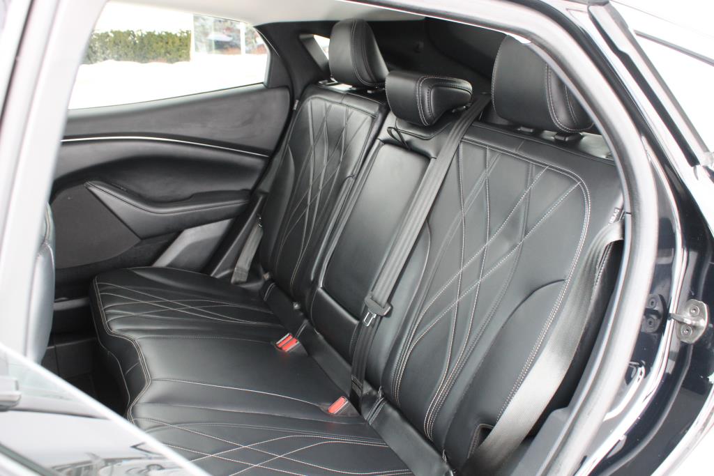 ford Mustang Mach-E 2022 - 15