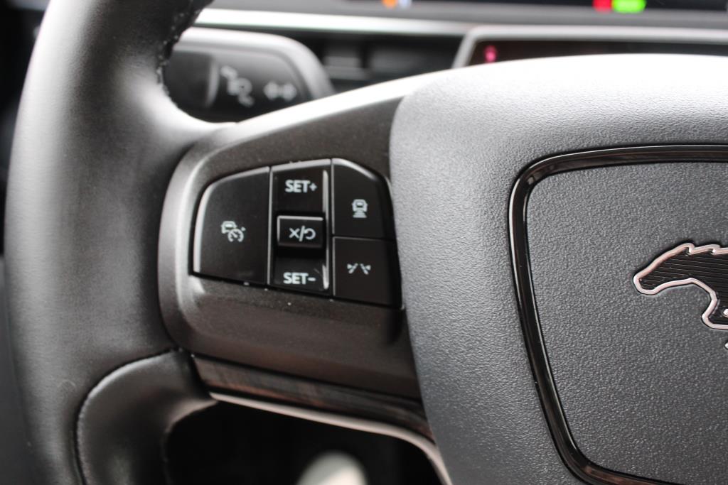 ford Mustang Mach-E 2022 - 19