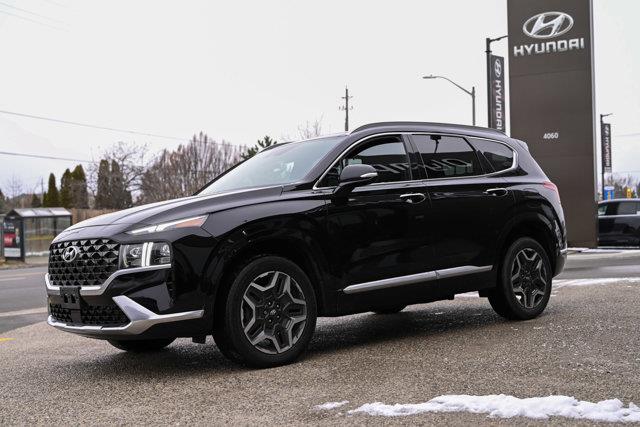 hyundai Santa Fe 2021 - 3