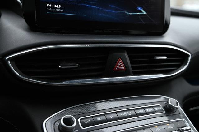 hyundai Santa Fe 2021 - 16