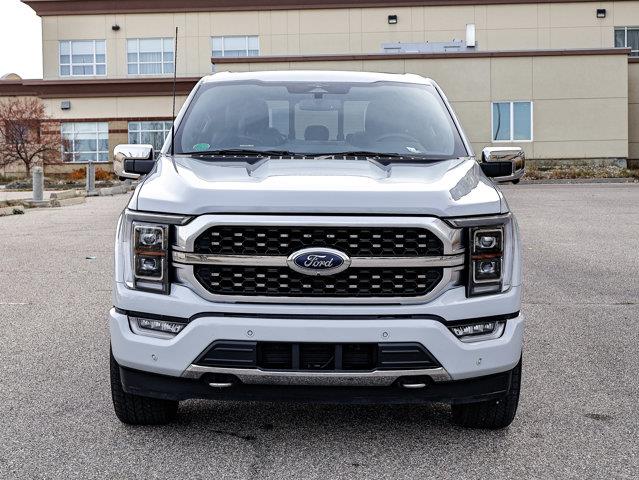 ford F-150 2023 - 3