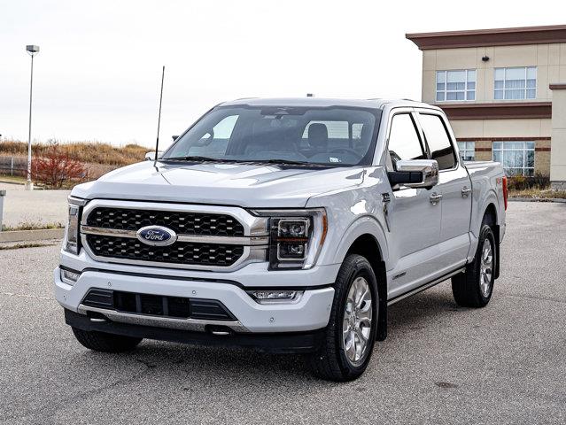 ford F-150 2023 - 4